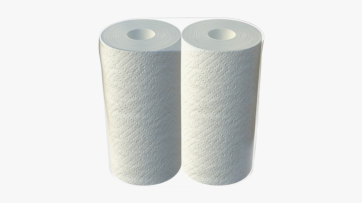 Paper towel 2 pack small