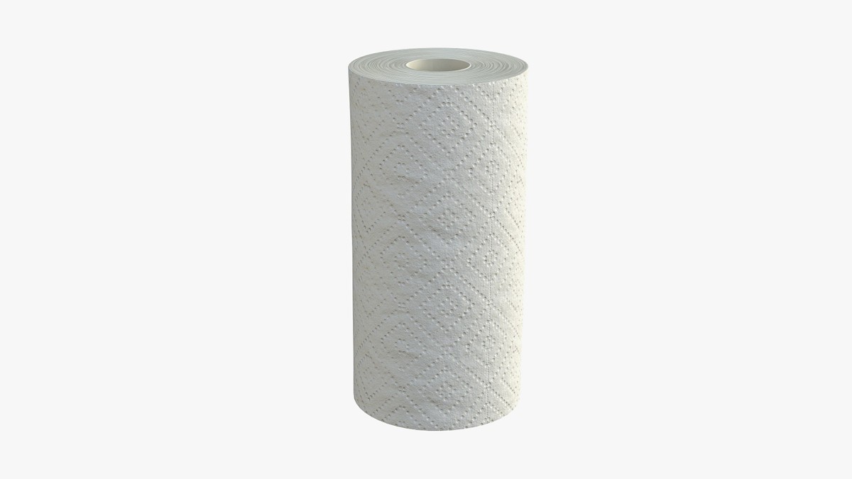 Paper towel 2 pack small