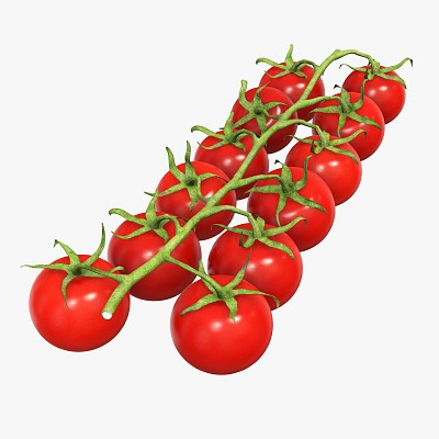 Tomato cherry branch 02