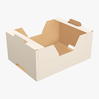 Cardboard tray box 01