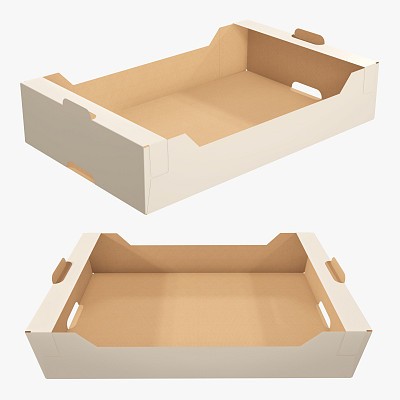 Cardboard tray box 03