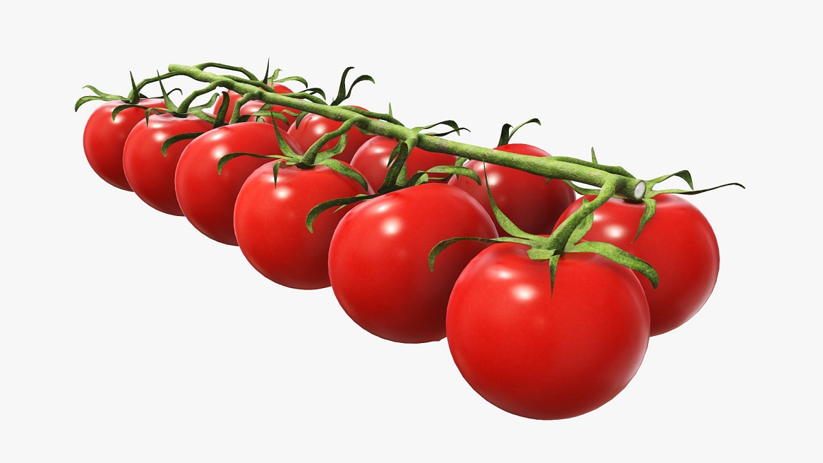 Tomato cherry red small branch 02