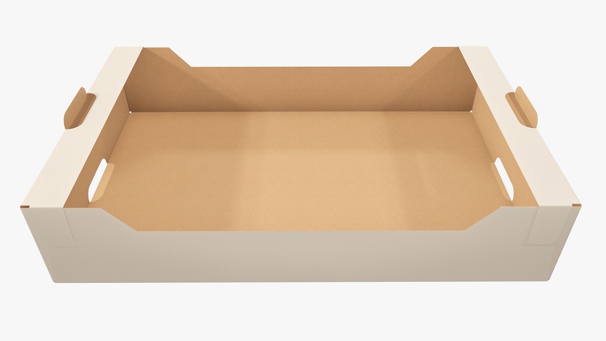 Cardboard retail tray box 03