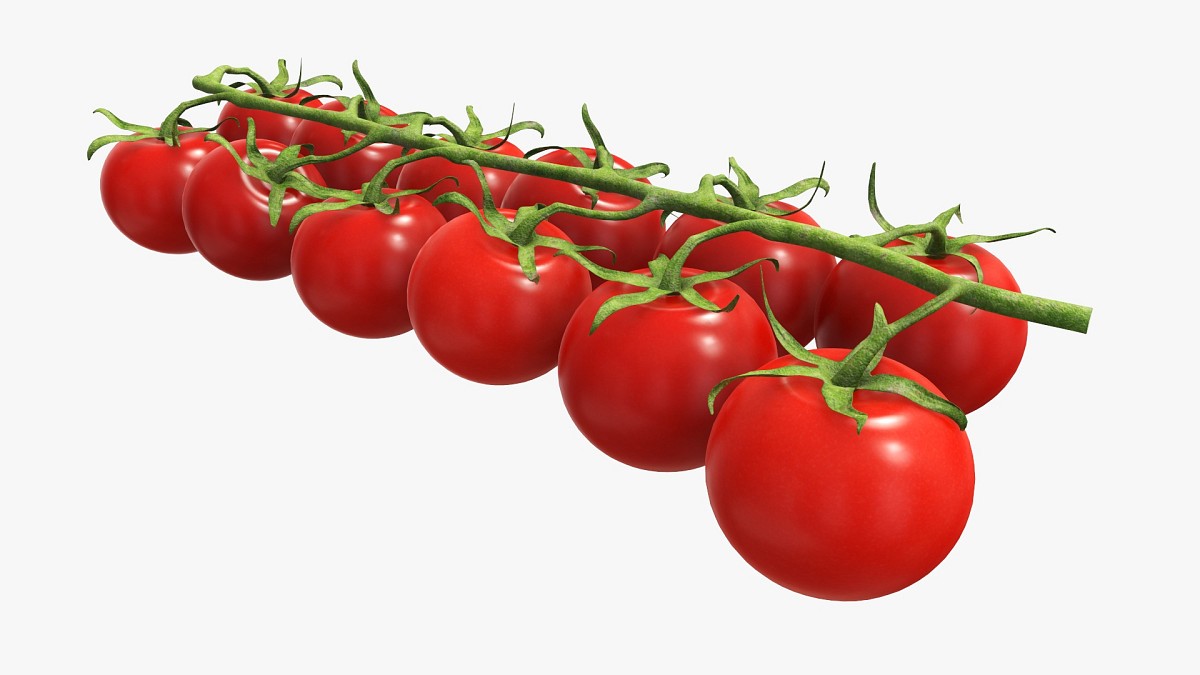 Tomato cherry red small branch 02