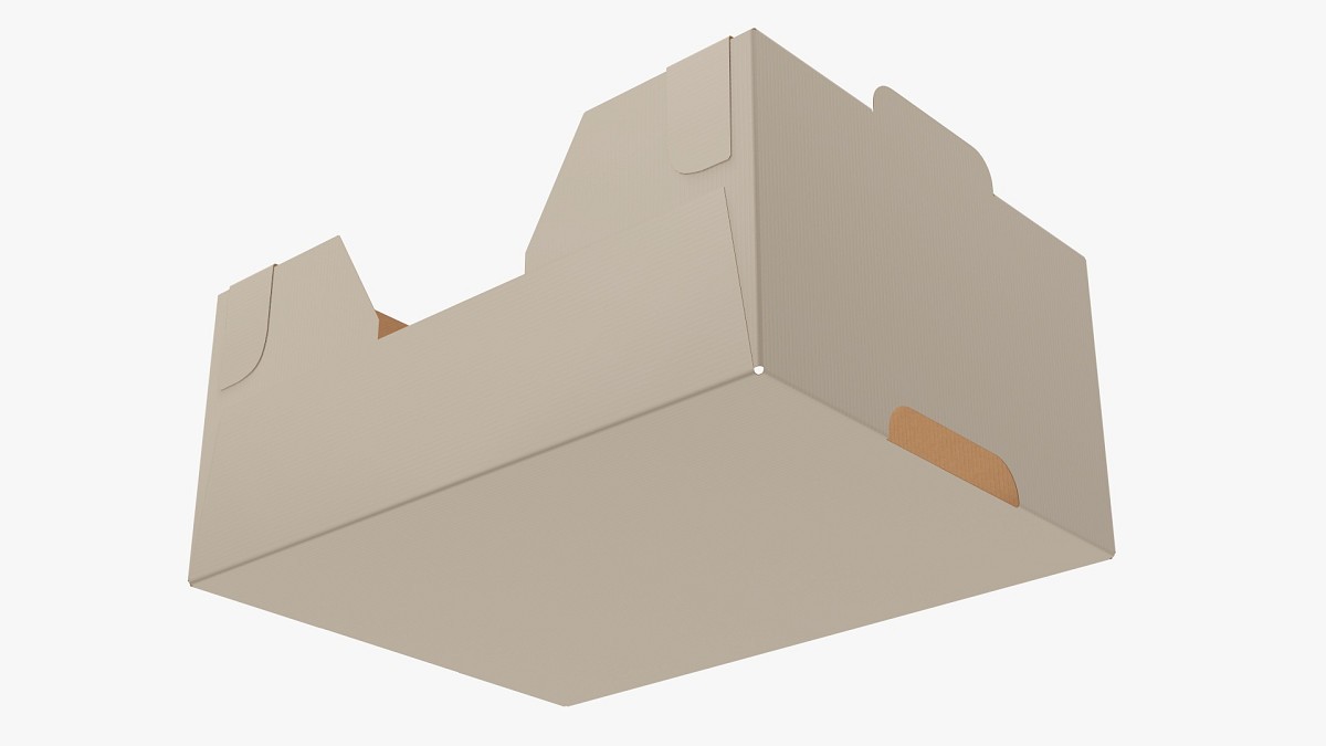 Cardboard retail tray box 01