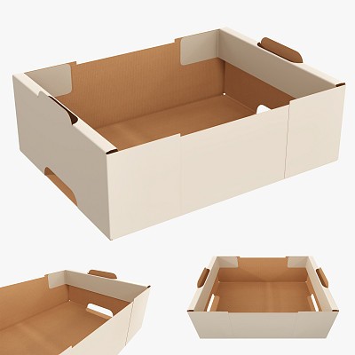 Cardboard tray box 05