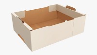 Cardboard retail tray box 05