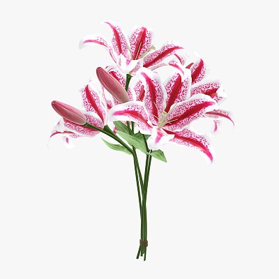 Lily bouquet