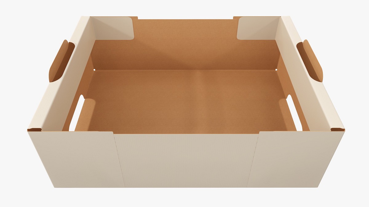 Cardboard retail tray box 05