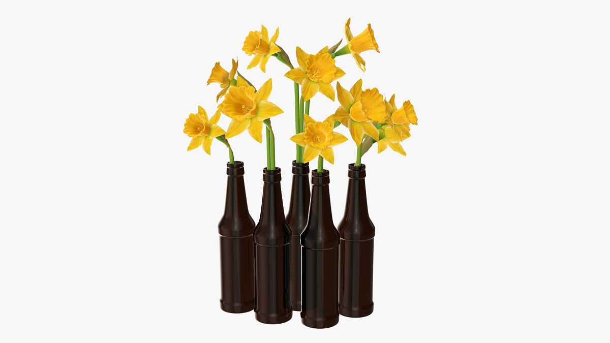 Narcissus flower in beer bottle vase
