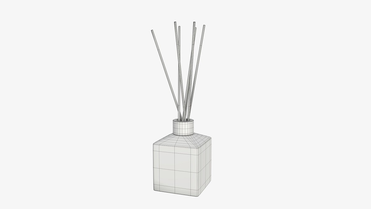 Air refresher bottle with sticks 03
