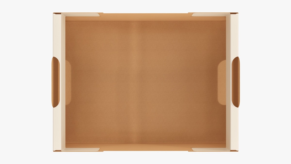 Cardboard retail tray box 05