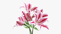 Lily bouquet