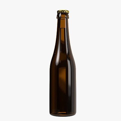 Beer bottle 04