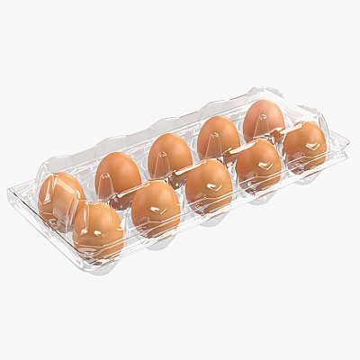 Plastic pack 10 eggs v1