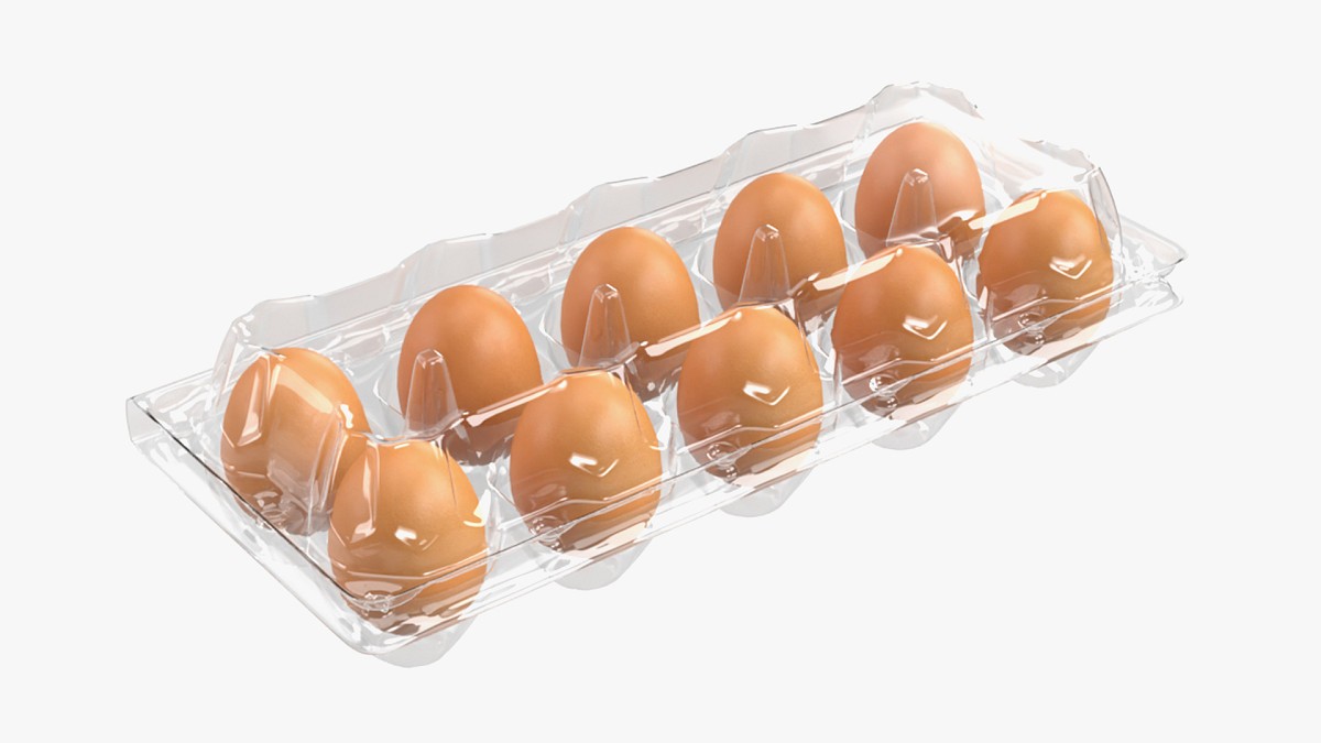 Egg plastic package 10 eggs v1