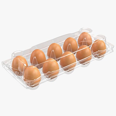Plastic pack 10 eggs v2