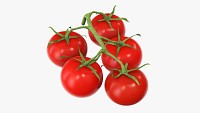 Tomato branch 02