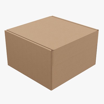 Cardboard box packaging 4