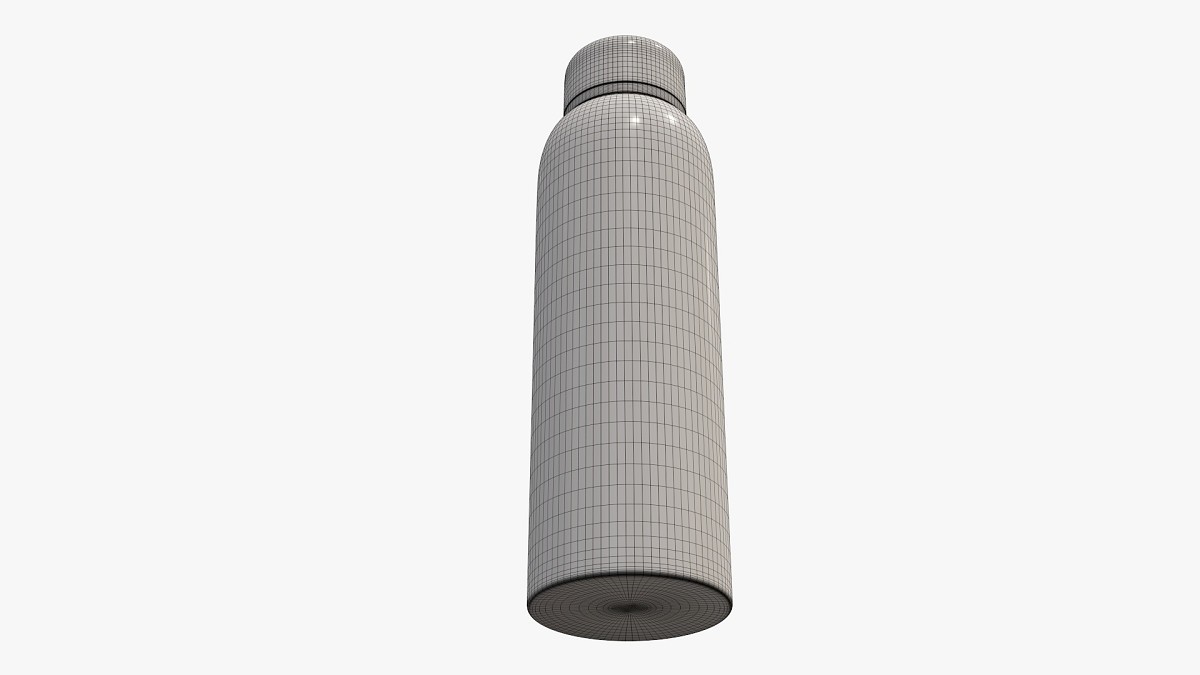 Thermos vacuum bottle flask 06