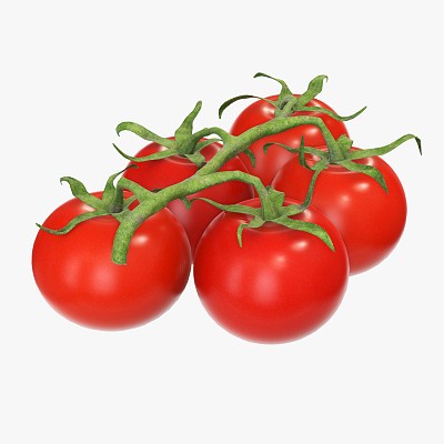 Tomato cherry branch 01