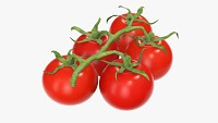 Tomato cherry red small branch 01