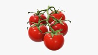 Tomato cherry red small branch 01