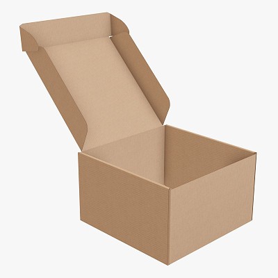 Cardboard box packaging 9