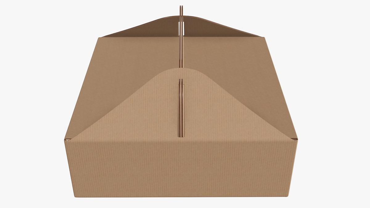 Gable box cardboard food packaging 03