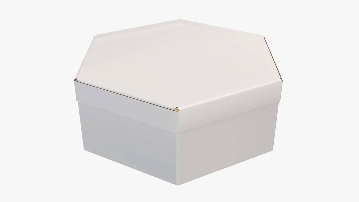 Hexagonal paper box packaging closed 02 corrugated cardboard white
