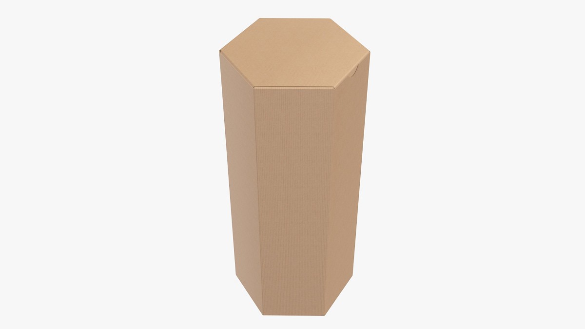Hexagonal paper box packaging closed 03 corrugated cardboard