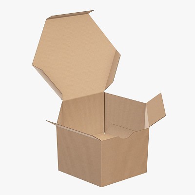 Hexagonal box open 1
