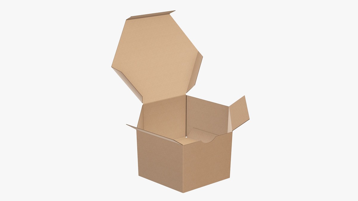 Hexagonal paper box packaging open 01 corrugated cardboard