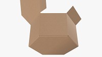 Hexagonal paper box packaging open 01 corrugated cardboard