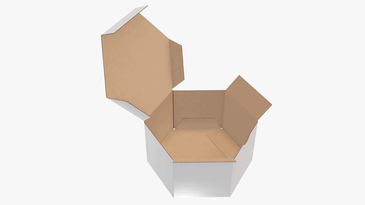 Hexagonal paper box packaging open 01 corrugated cardboard white