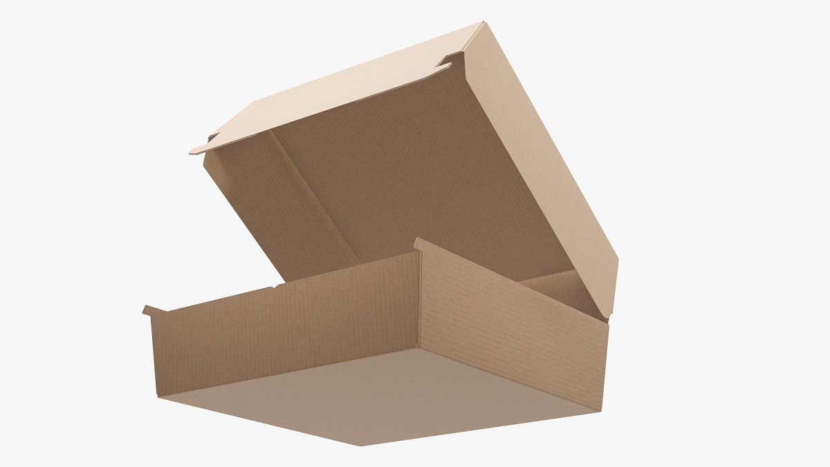 Empty fast food cardboard corrugated box open