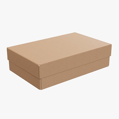 Lid try cardboard box 03