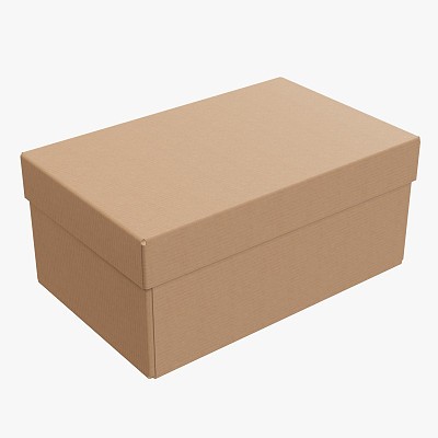 Lid try cardboard box 04