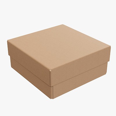 Lid try cardboard box 05