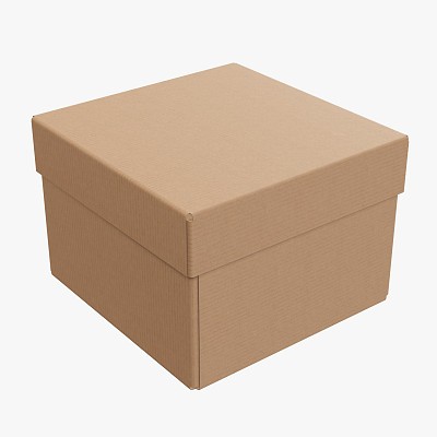 Lid try cardboard box 06