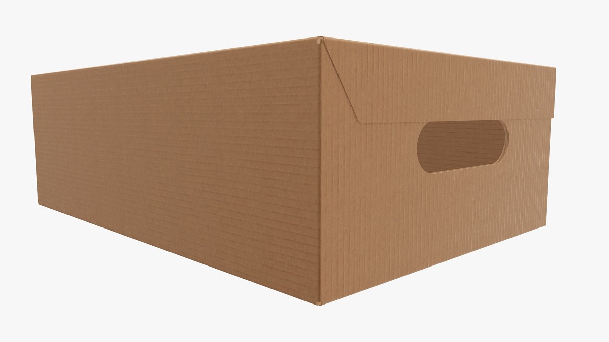 Shoes cardboard box closed