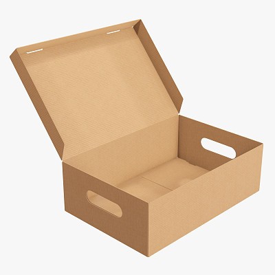 Shoes cardboard box open