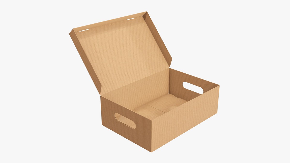 Shoes cardboard box open