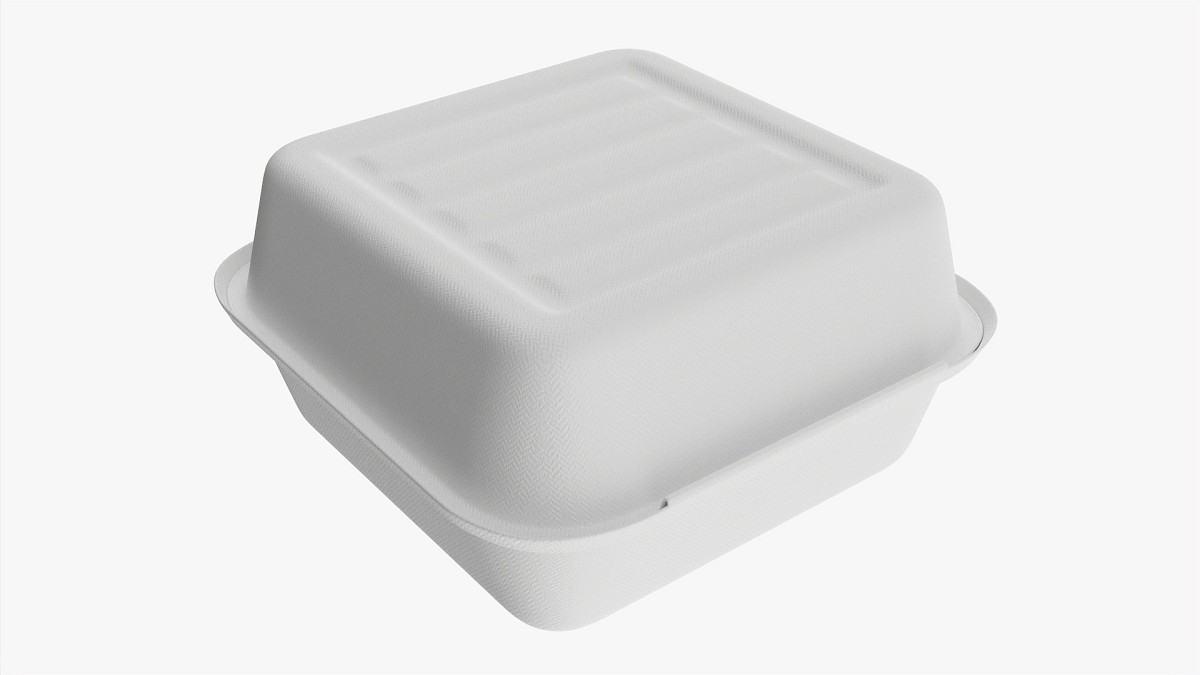 Compostable Take-Away Container Closed