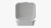 Compostable Take-Away Container Open
