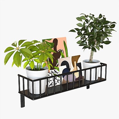 Decorative Shelf Plants 3