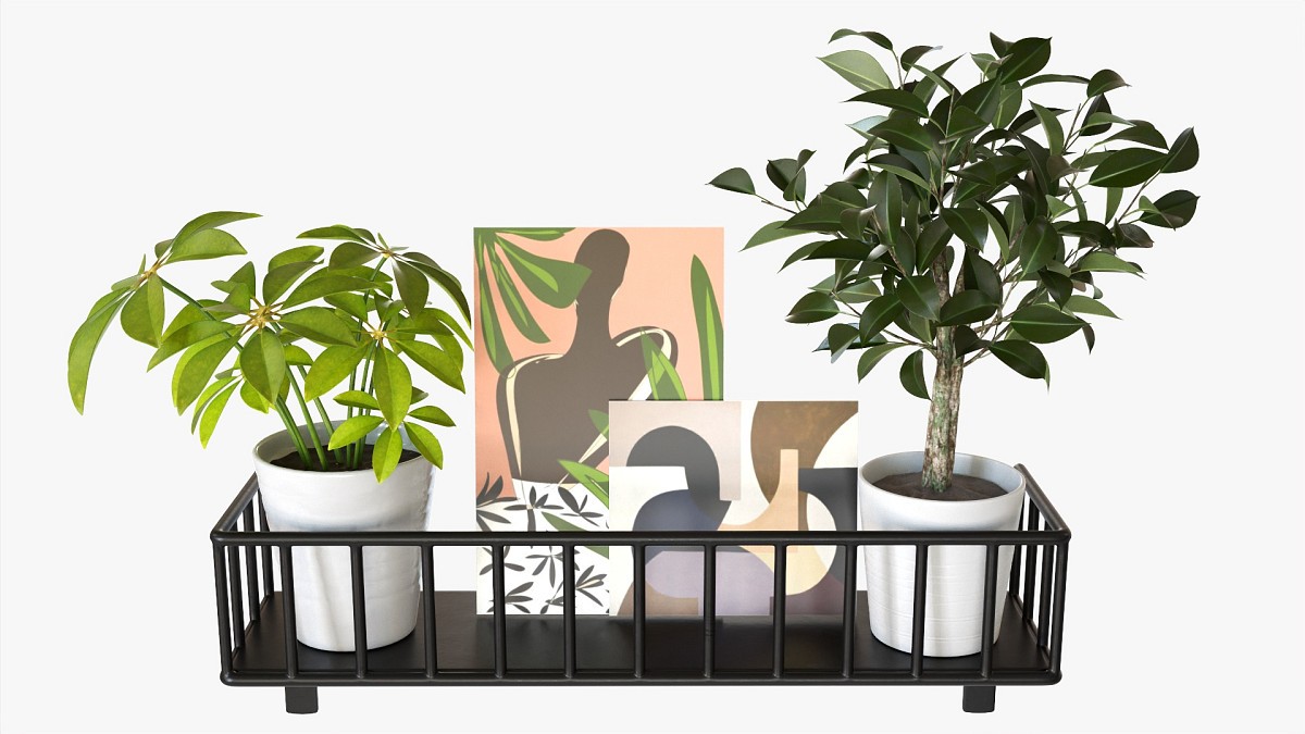 Decorative Wall Shelf With Plants 3