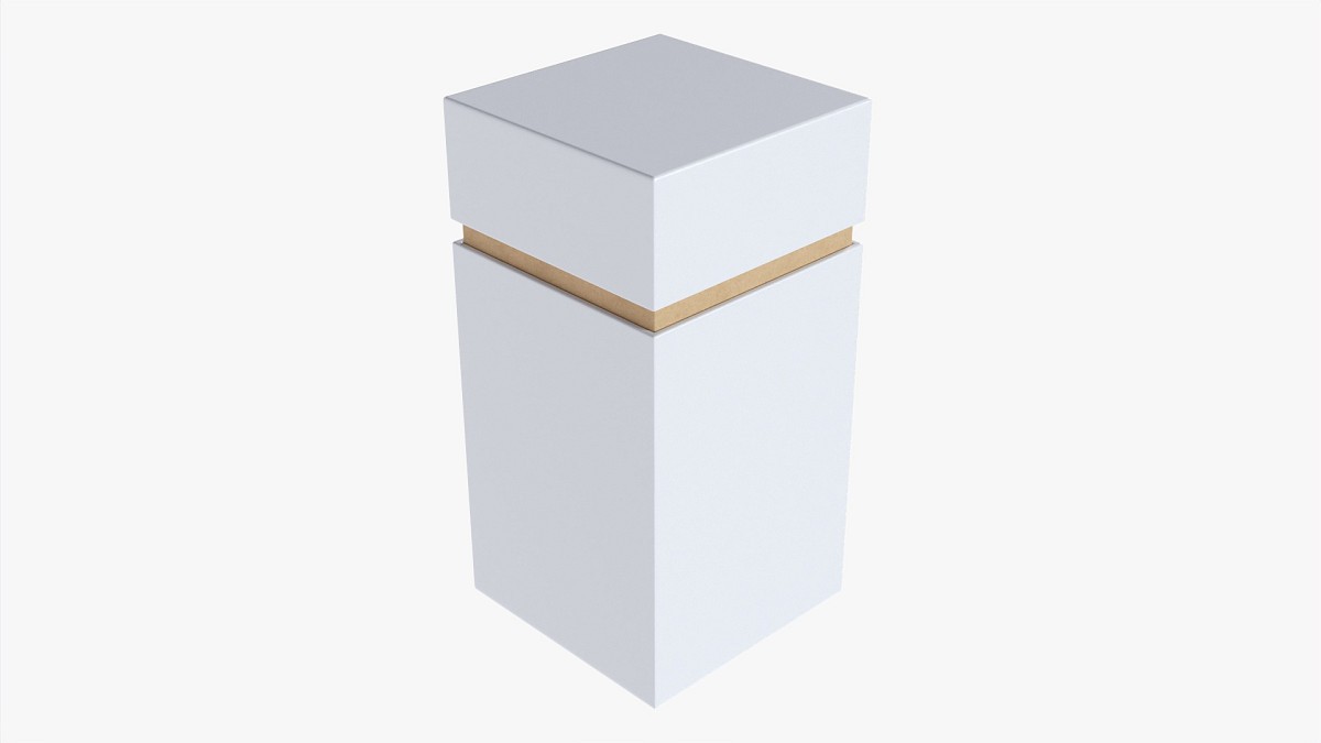 Paper Gift Box Mockup 04