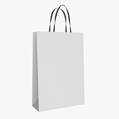 White paper bag handles 1