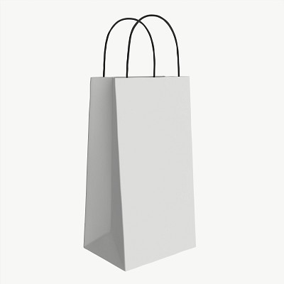 White paper bag handles 2